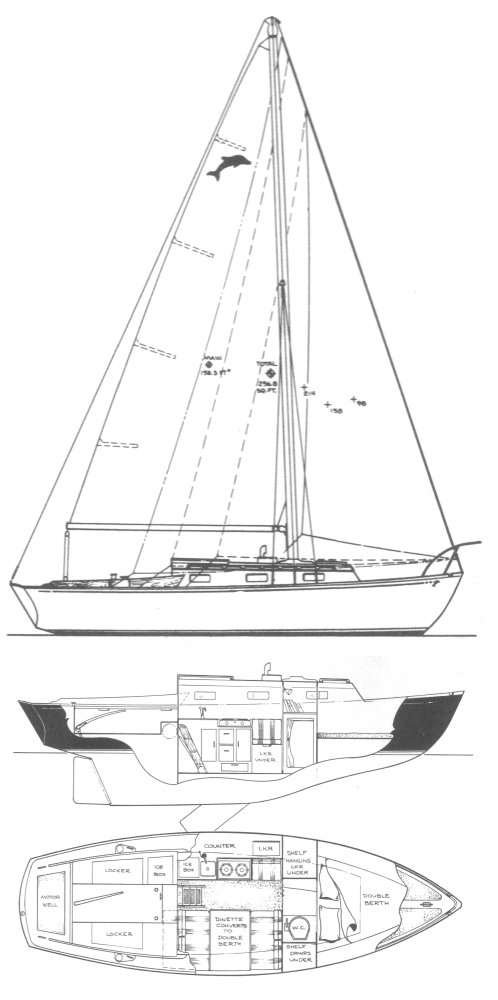 Dolphin 24 (yankee)