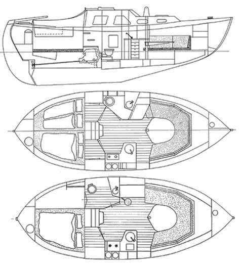Midget 31