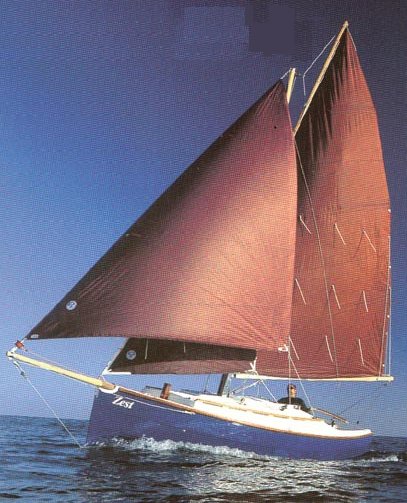 Cape Cutter 19