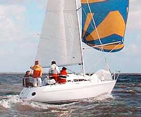 Hunter Horizon 273