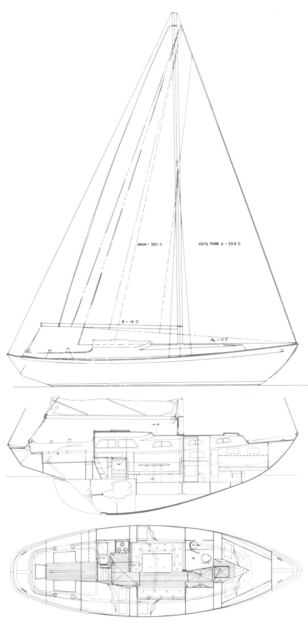 Acapulco 40