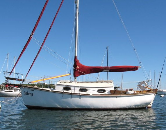 Allegra 24