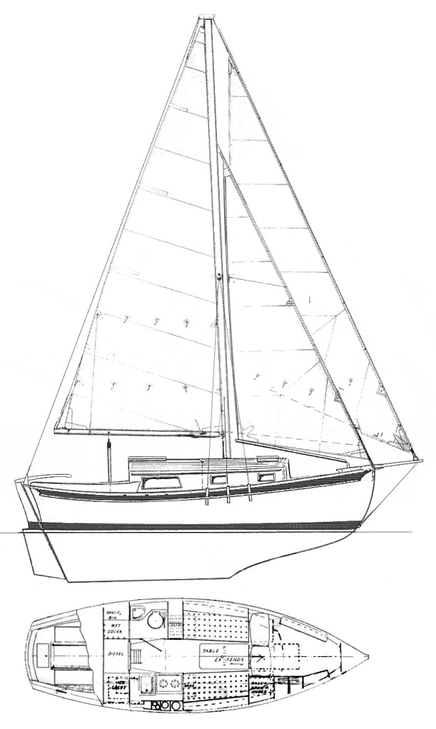 Allegra 24