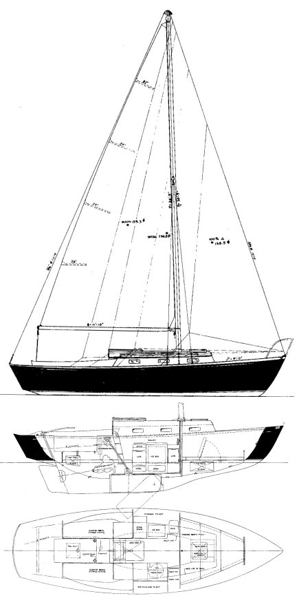 Dolphin 24 (s&s)