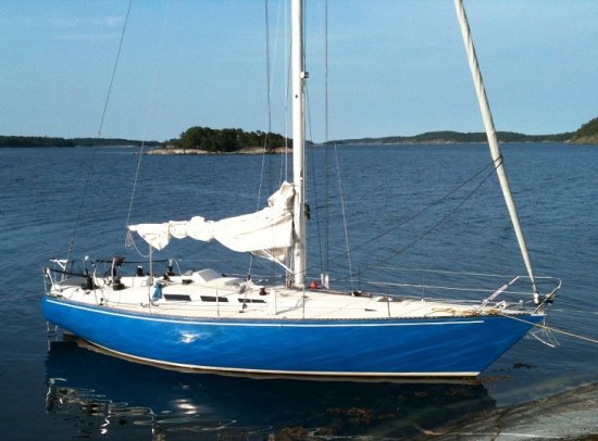 Gambler 35