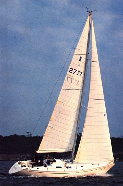 Contessa 39