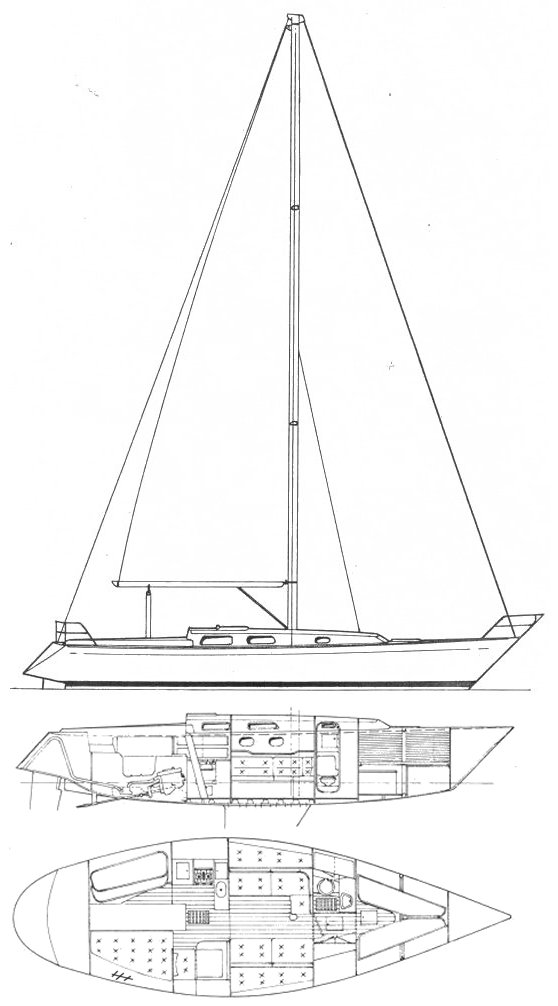 Contessa 39