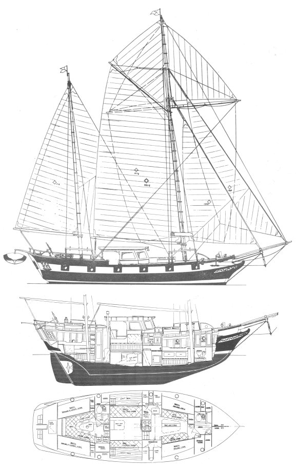 Mayflower 40