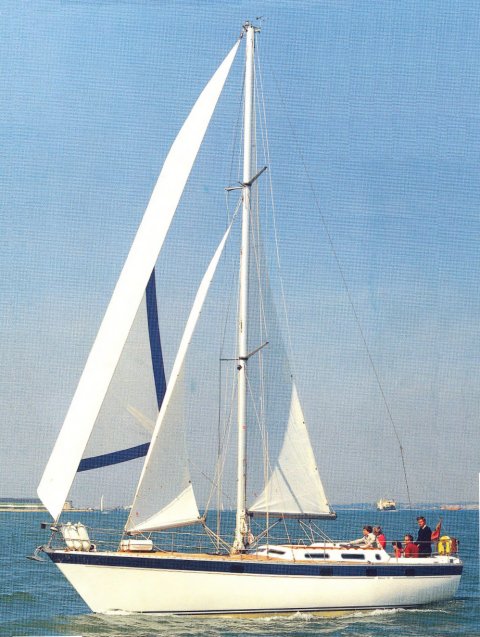 Warrior 40