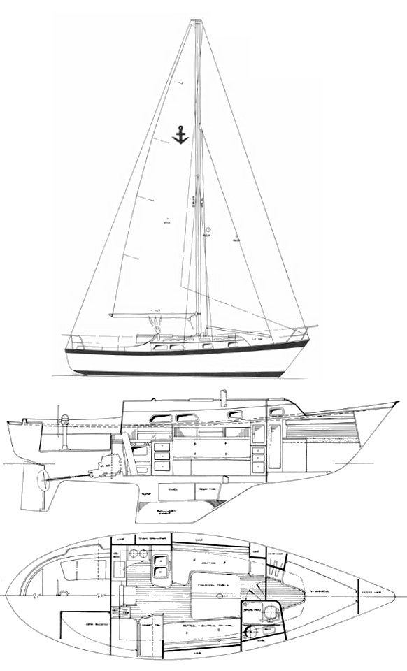 Southern Cross 32