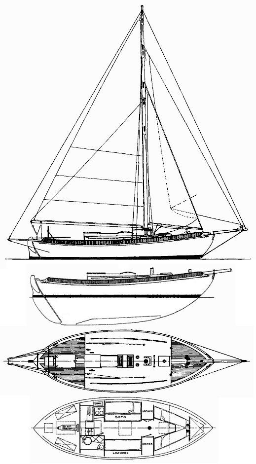 Thistle 31