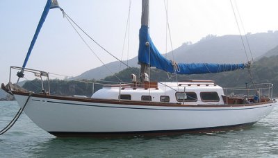 Taipan 28