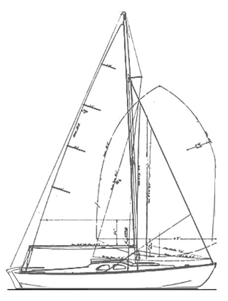 Bluebird 22