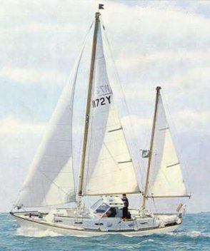 Barbary 32