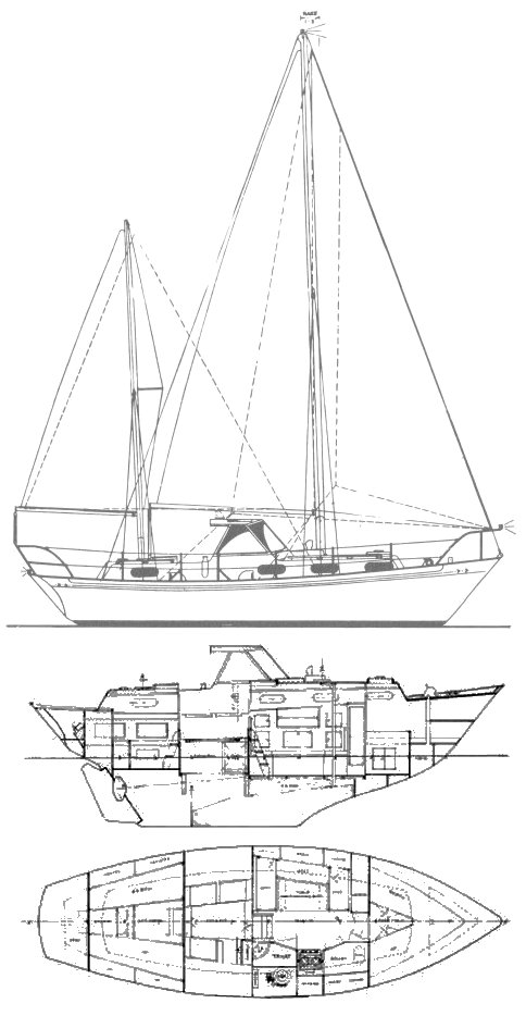 Barbary 32