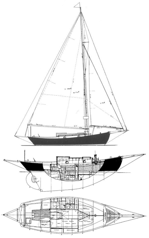 Typhoon 25 (warner)