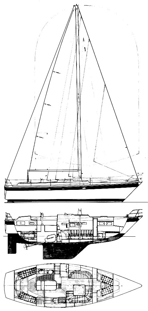 Trintella 38