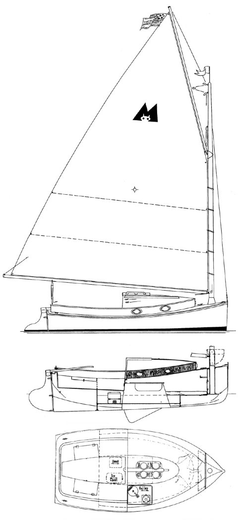 Menger Cat 17
