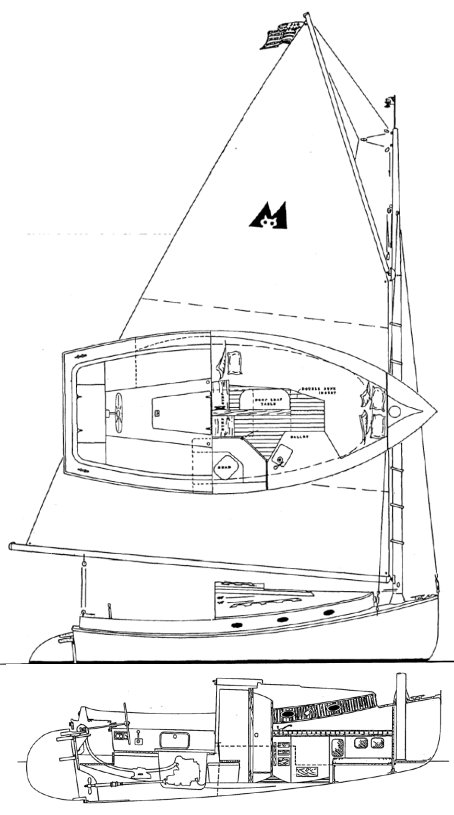 Menger Cat 23