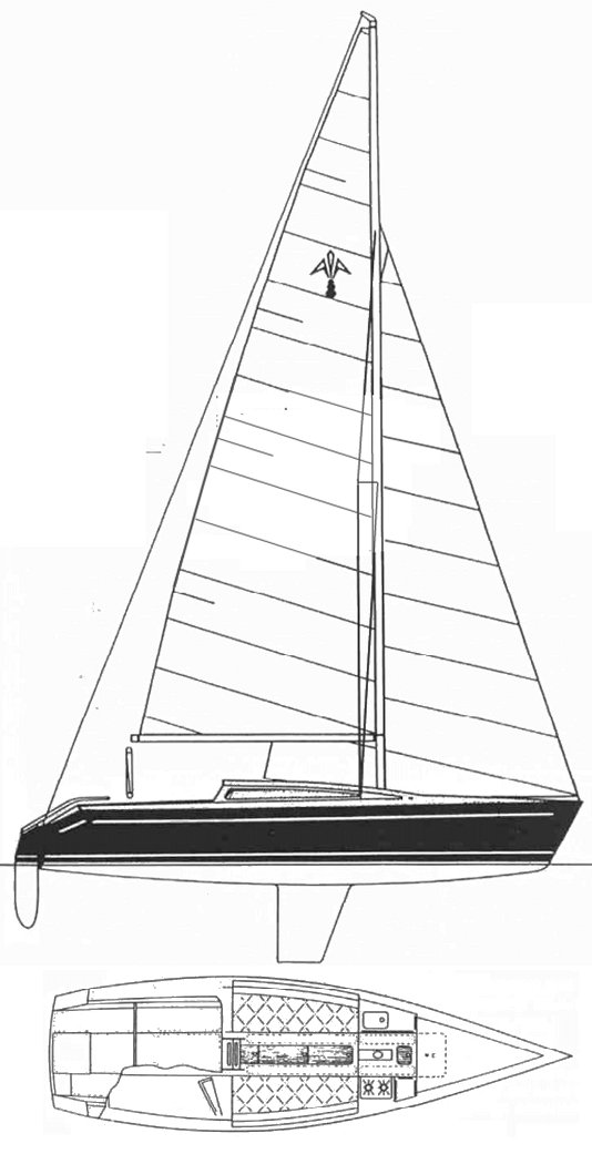 Adams 8