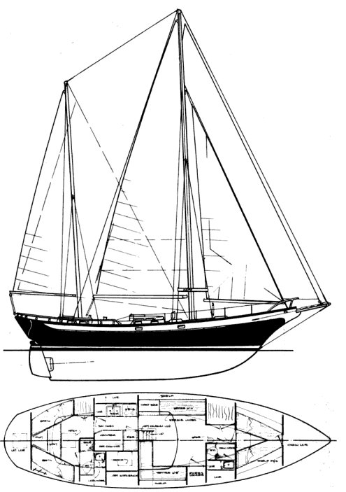 Durbeck 46 (d-46)