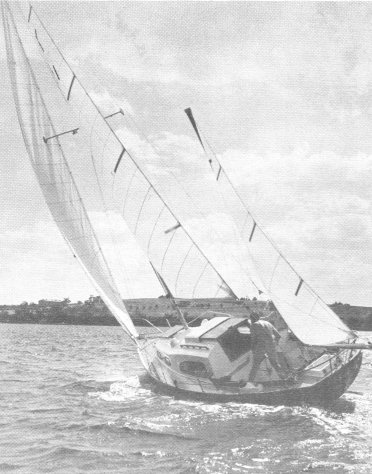 Acadian 30 Ywl (paceship)