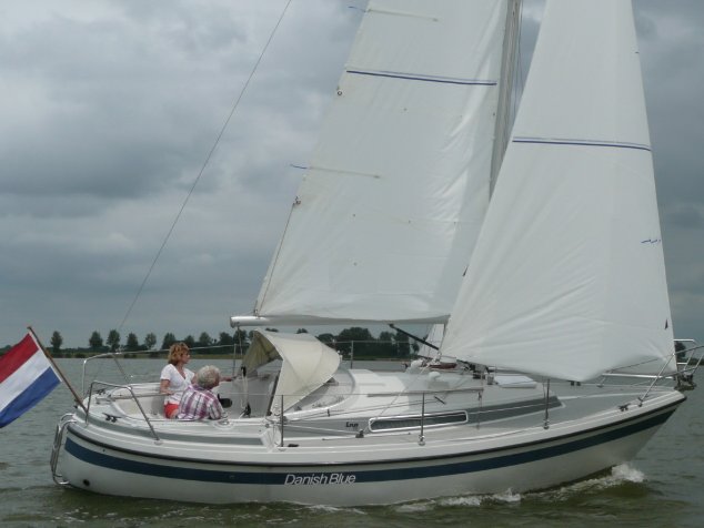 Lm 81