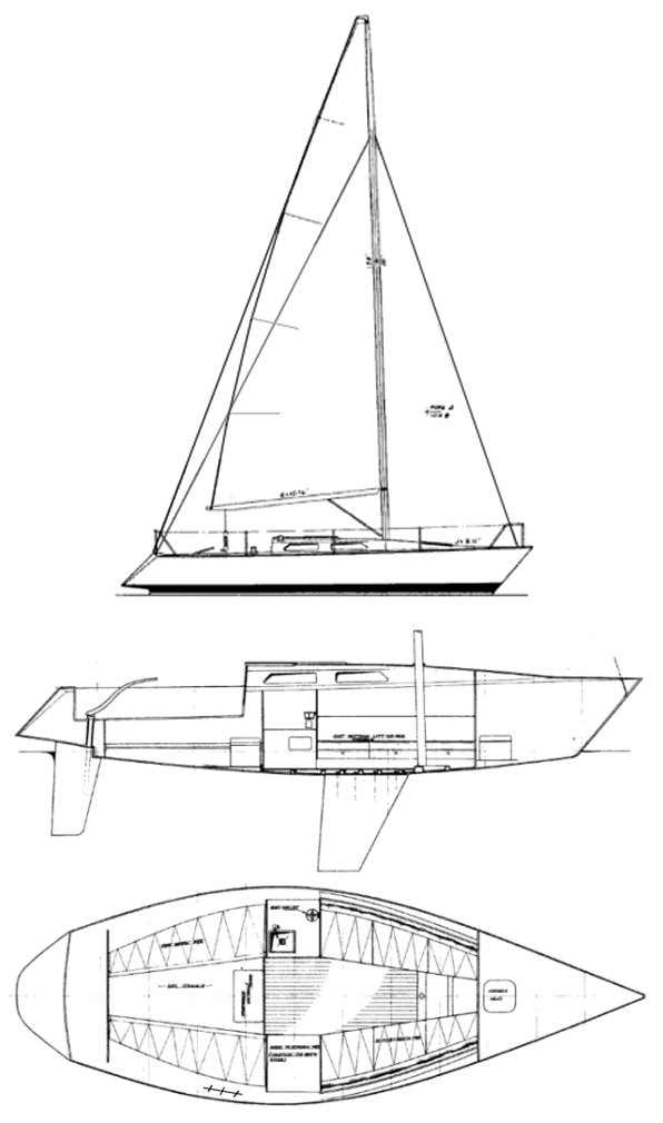 Summertime Dream (1/4 Ton)