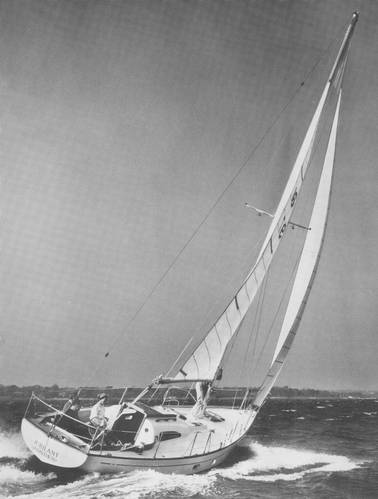 Medalist 33 Mki (le Comte)